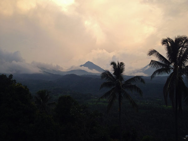 Мундук, остров Бали - зеленые холмы, пальмы и рисовые плантации.