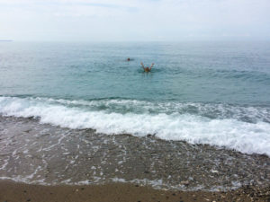 Черное море, Абхазия