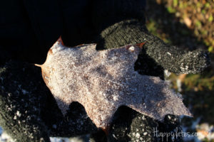 Осень в Москве, парк 850-летия, осенние листья, иней