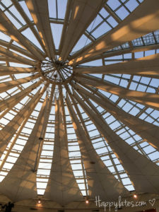 Купол в ТРК Вегас